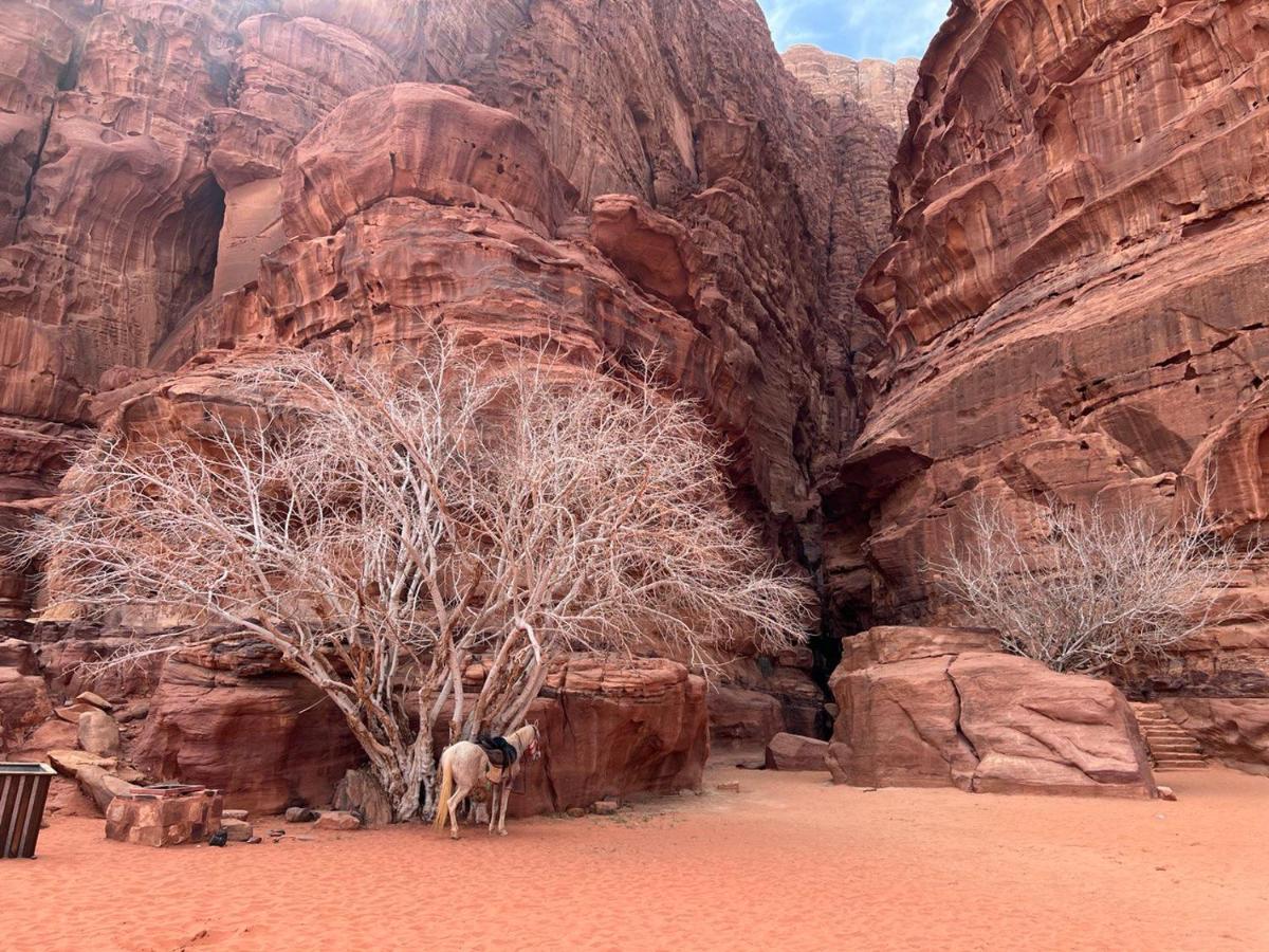 Hotel Golden Day Wadi Rum Exterior foto