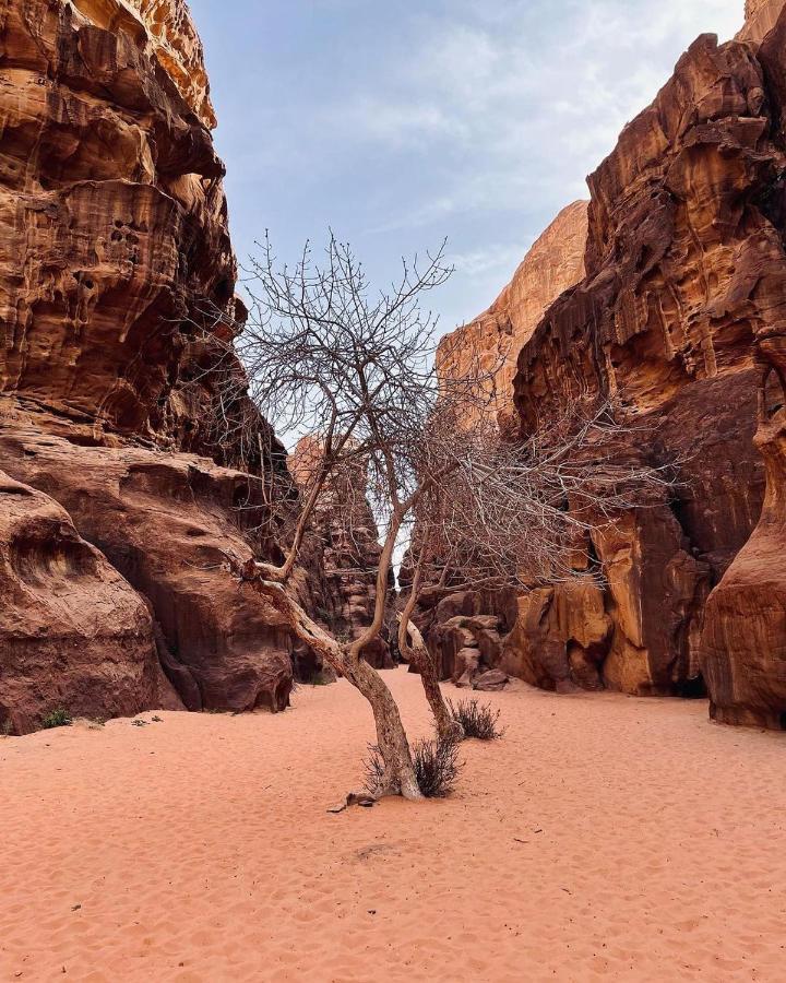 Hotel Golden Day Wadi Rum Exterior foto