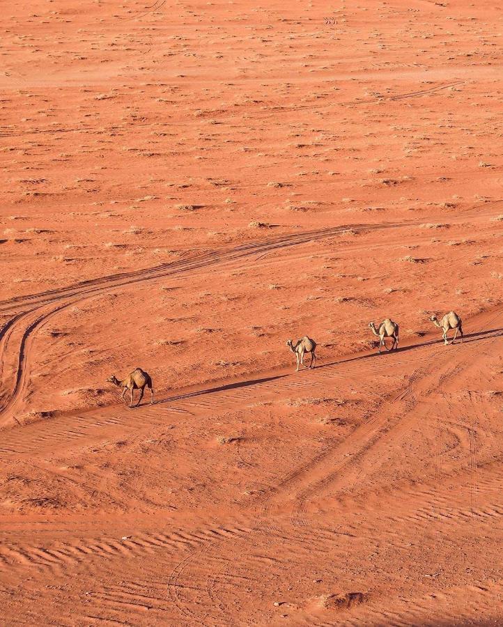 Hotel Golden Day Wadi Rum Exterior foto